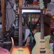 Danelectro longhorn Bass with Danelectro U2