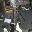 12 string Danelectro.